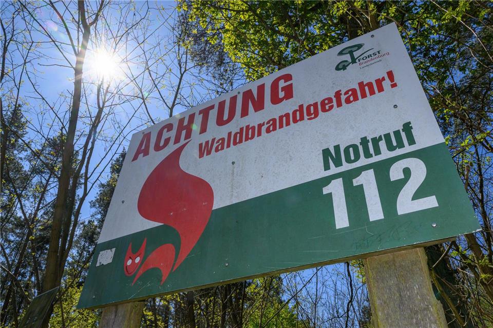 Die Gefahrenstufe für Waldbrände ist nach einem extrem trockenen Hitze-Wochenende wieder gesunken. (Symbolbild)Patrick Pleul/dpa