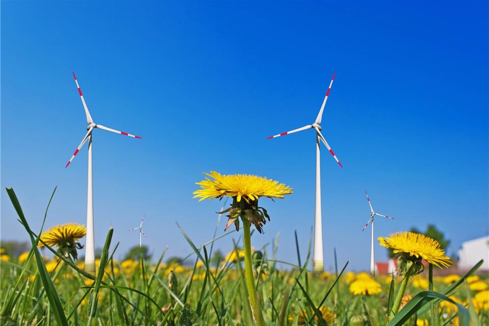 Die Gemeinde Raesfeld arbeitet an einem Klimaschutzkonzept.