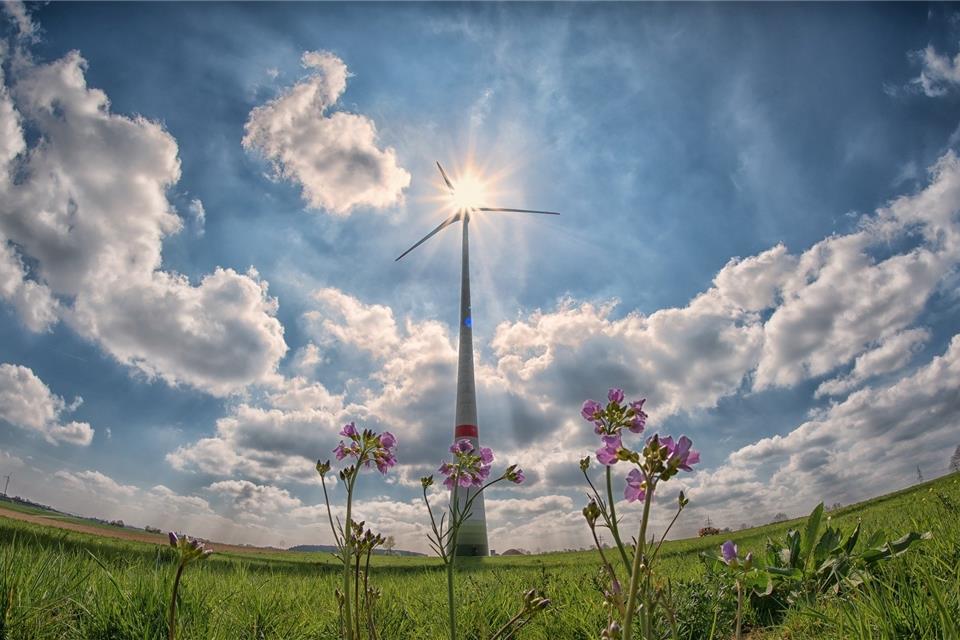 Die Gemeinde soll mehr für den Klimaschutz tun, fordern die Grünen.