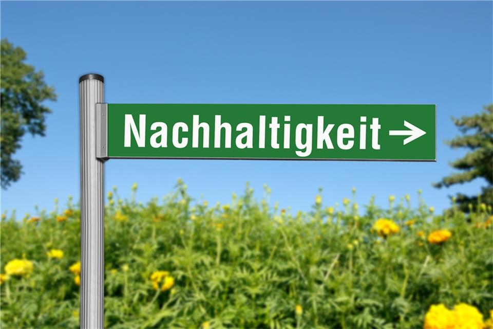 Die Gemeinde will auf Nachhaltigkeit setzen, aber ohne Klimaschutzmanager.