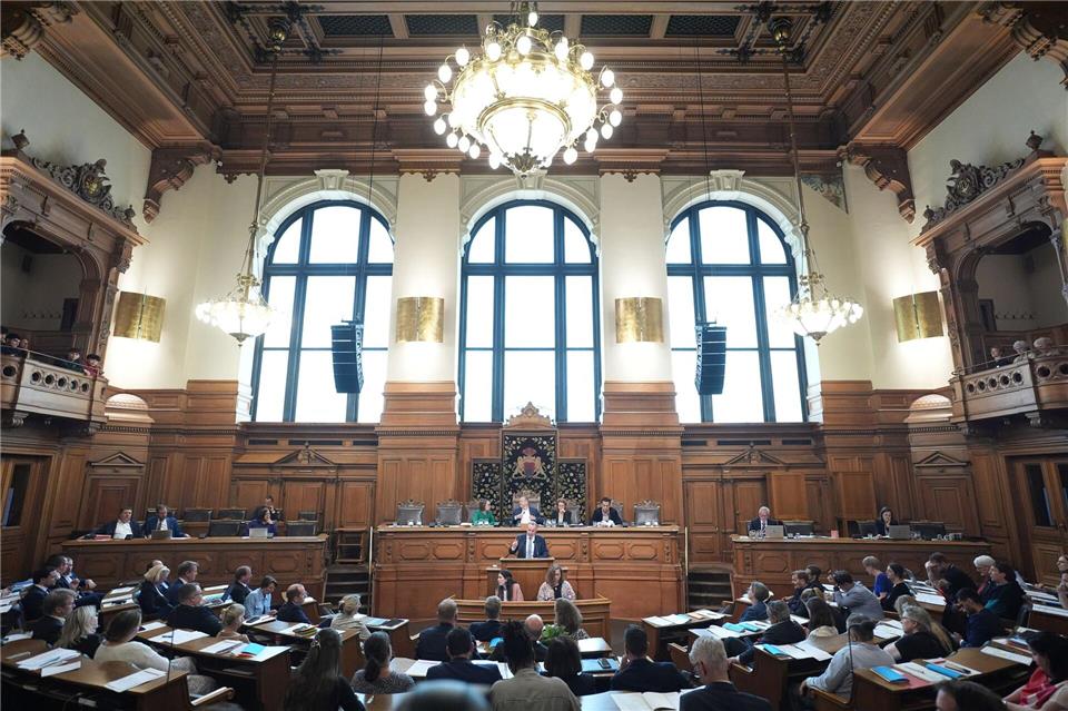 Die Geschichte der AfD ist für Hamburgs Innensenator Andy Grote (SPD) „die Geschichte einer einzigen kontinuierlichen Radikalisierung“ (Archivbild)Marcus Brandt/dpa