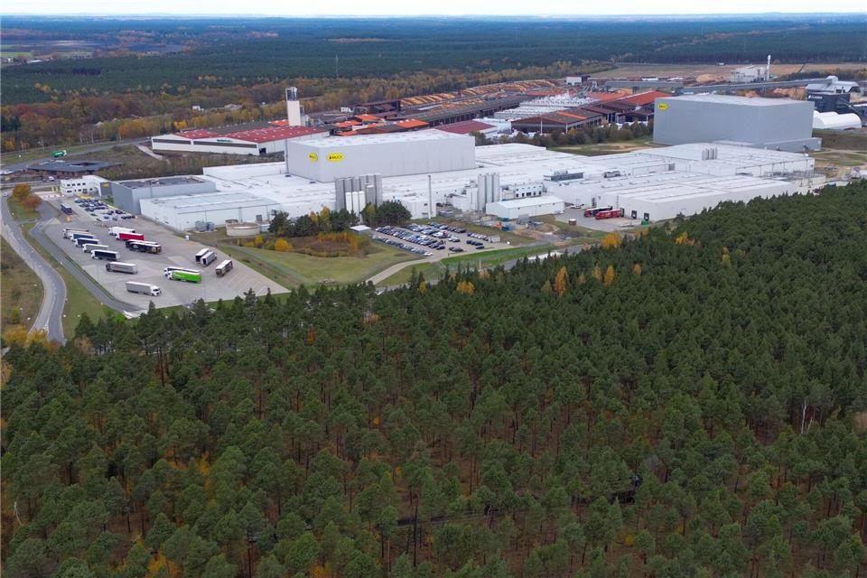 Die Getränkehersteller Red Bull und Rauch wollen im brandenburgischen Baruth/Mark die Produktion ausweiten. Für ein neues Dosen-Werk für Red Bull-Getränke sollen 17 Hektar Wald gerodet werden.Patrick Pleul/dpa