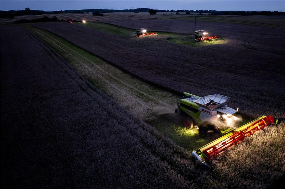 Die Getreideernte 2025 ist trotz der Wetterkapriolen dieses Sommers laut einer Schätzung des Statistikamtes gut ausgefallen, die Rapsernte durchschnittlich. (Archivbild)Jens Büttner/dpa