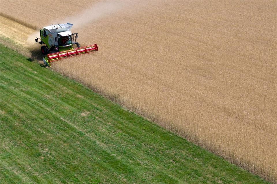 Die Getreideernte in Bayern stand unter dem Eindruck von Hitze und Trockenheit. (Archivbild)Sven Hoppe/dpa