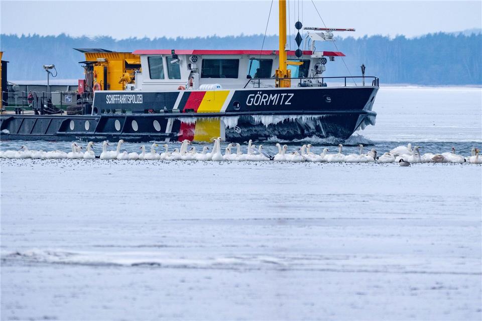 Die „Görmitz“ hilft bei der Versorgung der Insel Hiddensee.Stefan Sauer/dpa