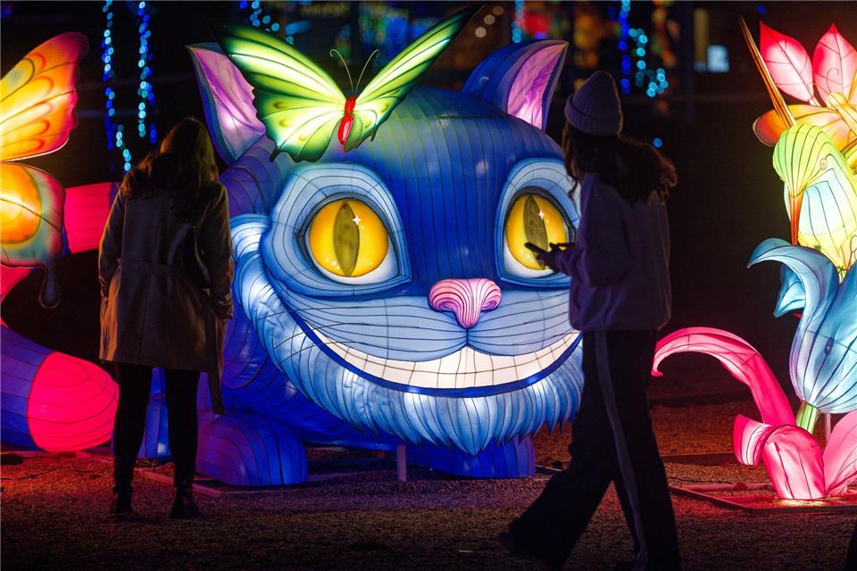 Die Grinsekatze ist auch nach Köln gekommen.Henning Kaiser/dpa