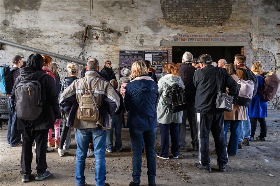 Die Gründe für den Rückgang können vielfältig sein.Patrick Pleul/dpa