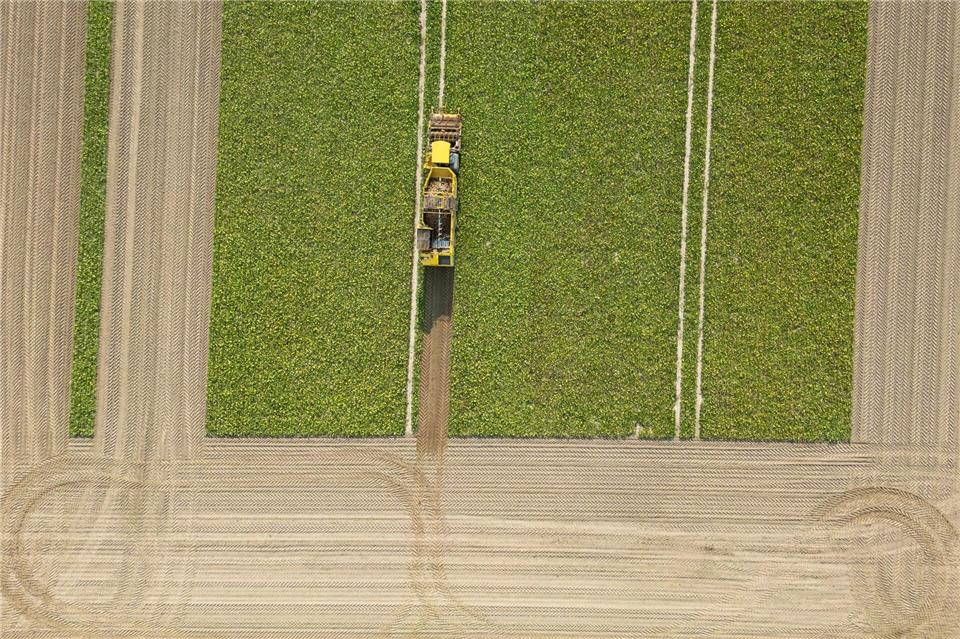 Die Grünen-Fraktion sieht die regionale Lebensmittelproduktion und Zukunft der ländlichen Räume gefährdet. (Archivbild)Boris Roessler/dpa