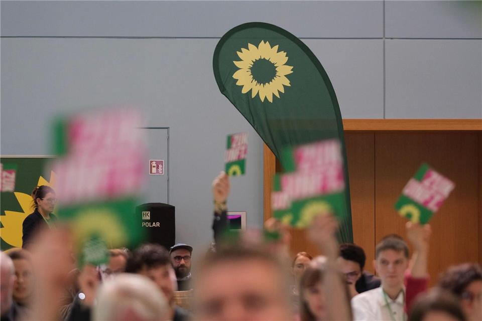 Die Grünen in Sachsen-Anhalt setzen auf Susan Sziborra-Seidlitz.Sebastian Willnow/dpa