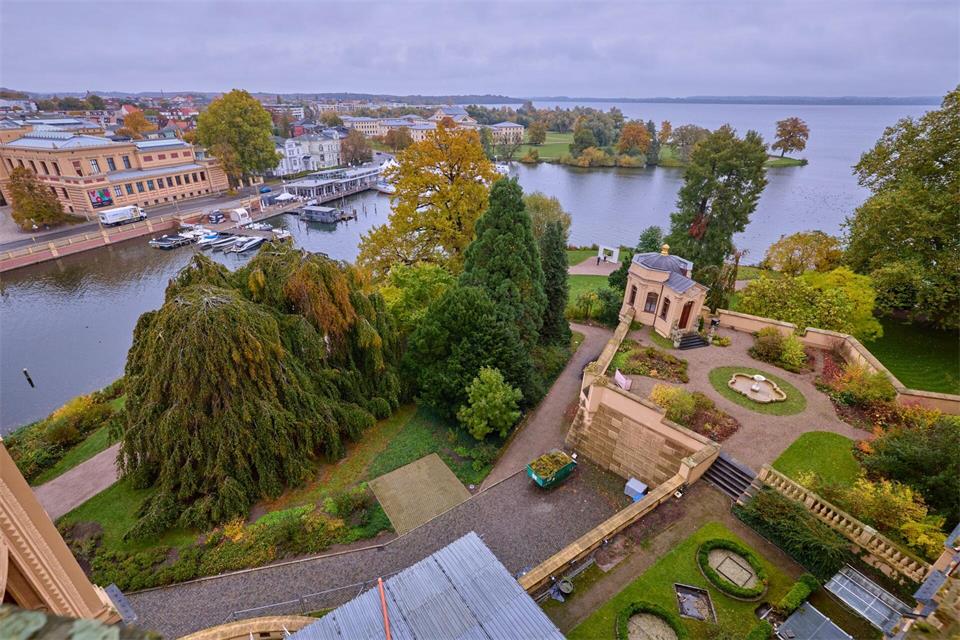 Die Hängebuche gehört zum alten Baumbestand auf der Schlossinsel.Jens Büttner/dpa