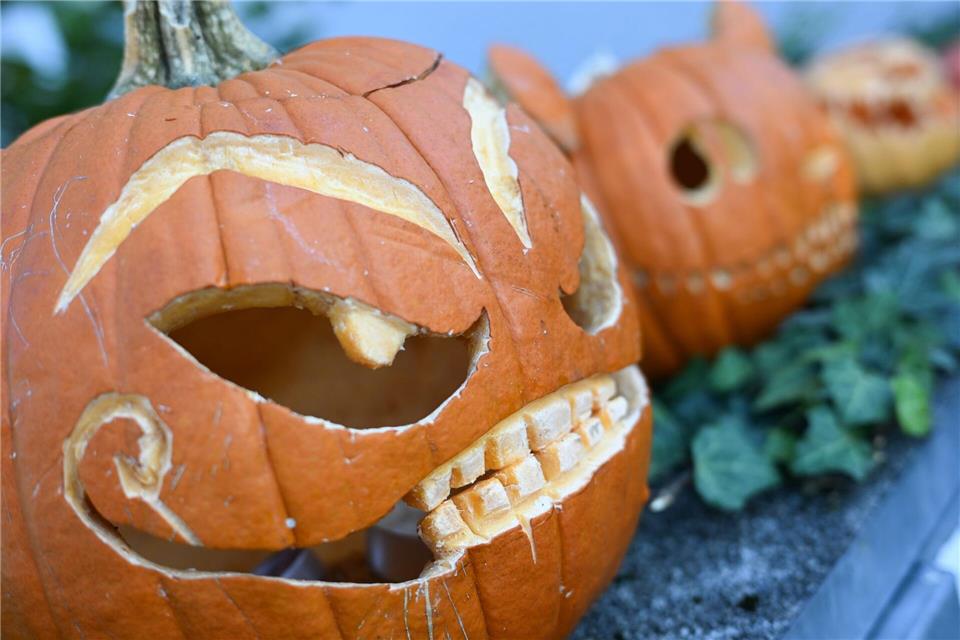 Die  Halloween-Saison hat sich in den vergangenen Jahren zu einer der wichtigsten Zeiten im Taunus Wunderland entwickelt. (Archivfoto)Arne Dedert/dpa