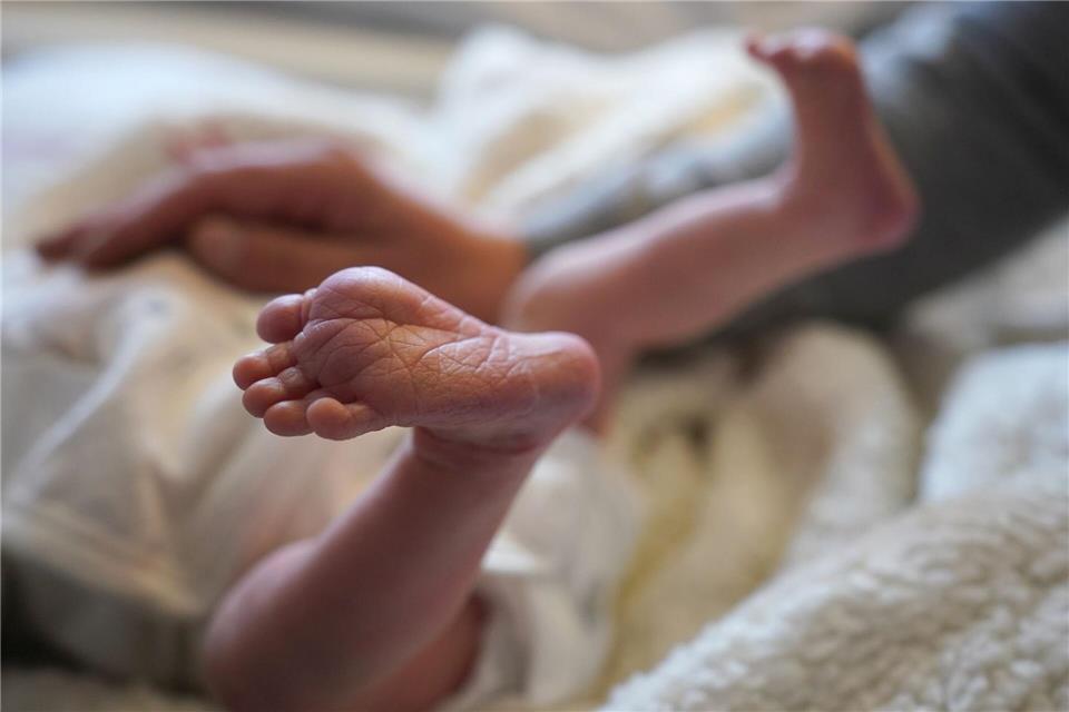 Die Hamburger CDU befürchtet, dass es auch in Hamburg Betrug mit Vaterschaftsanerkennungen gibt (Archivbild). Marcus Brandt/dpa