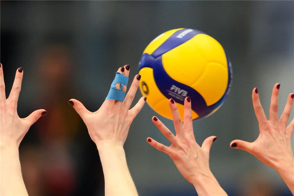 Die Hamburgerinnen gehen mit einem neuen Trainer in die nächste Spielzeit. (Symbolbild)Robert Michael/dpa