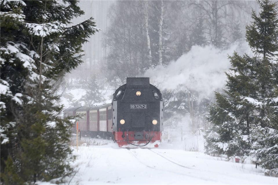 Die Harzer Schmalspurbahnen sind ab Samstag wieder im Einsatz. (Archivbild)Matthias Bein/dpa