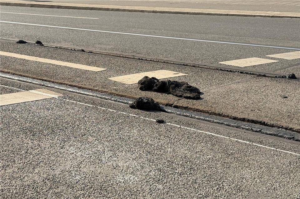 Die Hitze hat den Straßenbelag der VAG zufolge an manchen Stellen so weich werden lassen, dass die Straßenbahnen nicht mehr sicher fahren können. Irena Güttel/dpa