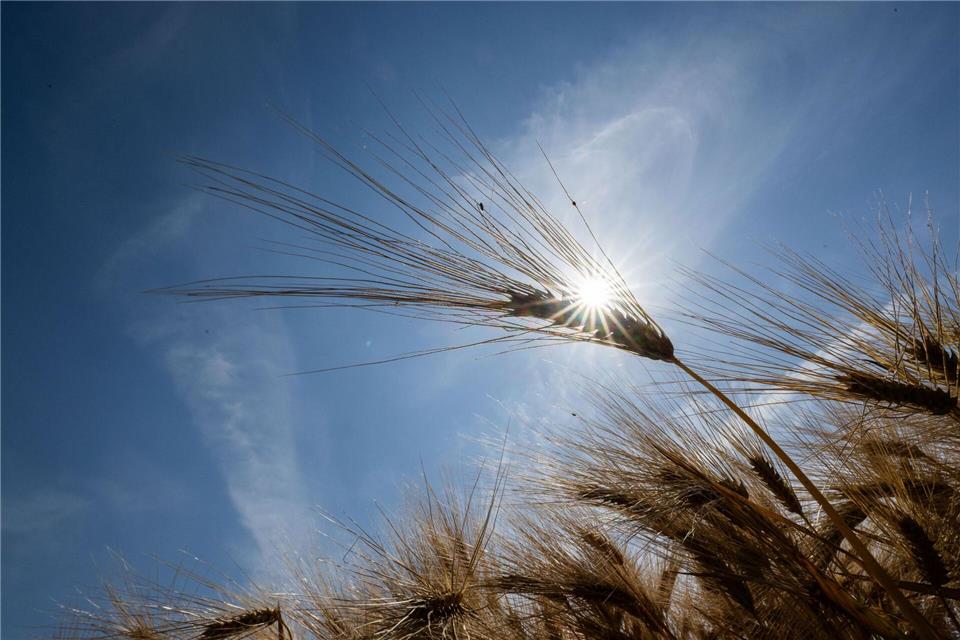 Die Hitze in Hessen wird nach Prognosen von Meteorologen noch ärger. (Foto Archiv)Boris Roessler/dpa