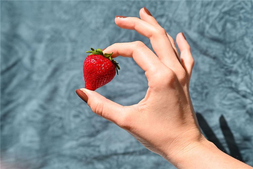 Die Hitze macht den Erdbeeren zu schaffen - und den Pflückern. (Archivbild)Katharina Kausche/dpa