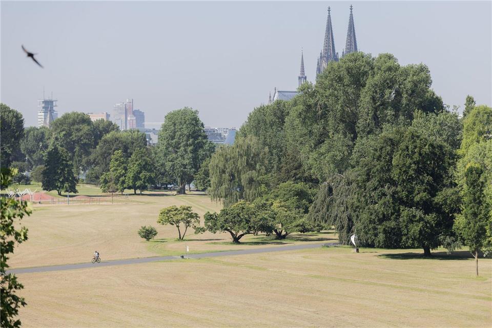 Die Höchsttemperaturen liegen laut DWD am Freitag bei 21 bis 26 Grad.  (Symbolbild)Rolf Vennenbernd/dpa