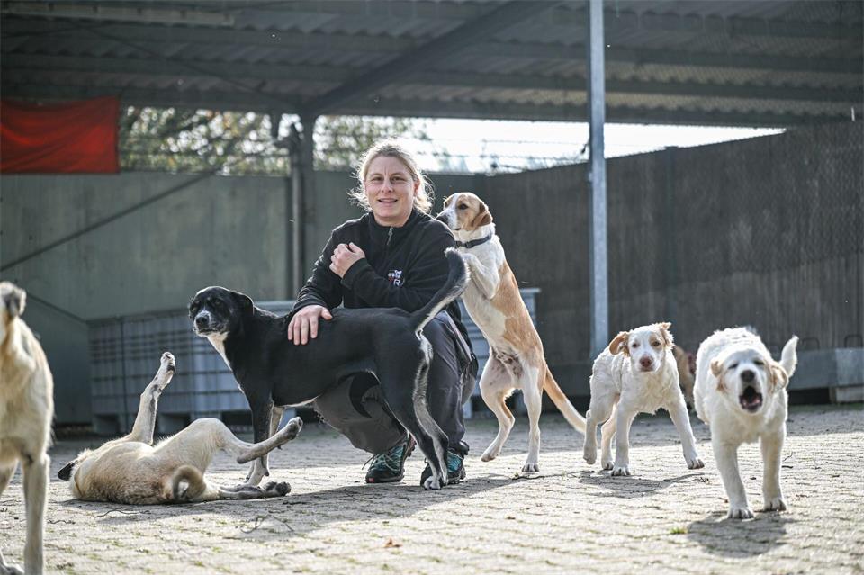 Die Hunde fressen das Rehfleisch gerne, wie Tierpflegerin Nina Herzog sagt.Jason Tschepljakow/dpa