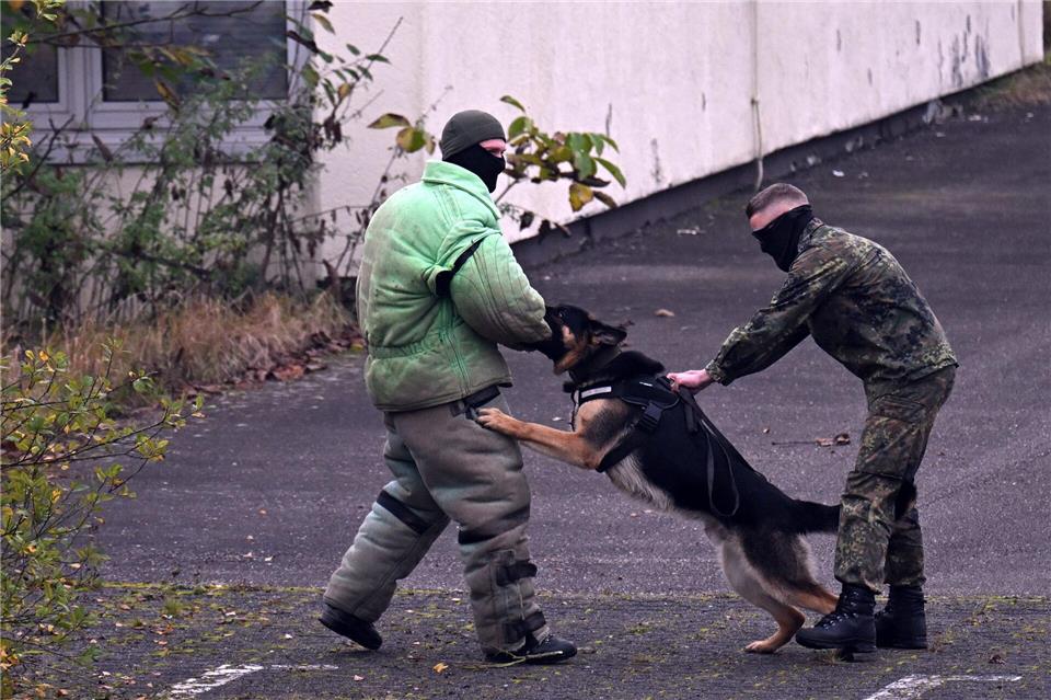 Die Hunde üben auch den Zugriff auf einen Gegner im Freien.Federico Gambarini/dpa