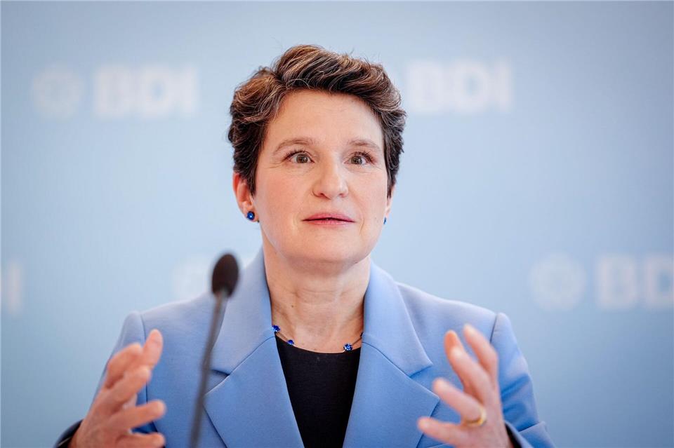 Die Industrie ist wegen möglicher AfD-Regierungsbeteiligung besorgt. (Archivbild)Kay Nietfeld/dpa