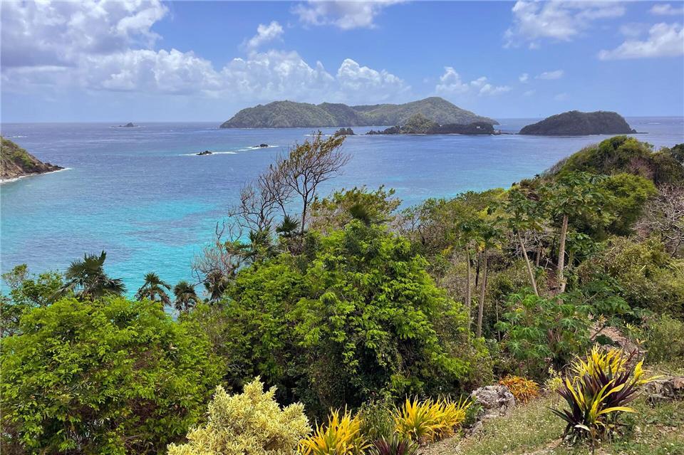 Die Insel Little Tobago bietet die schönsten Schnorchel- und Tauchspots und ist zudem ein wichtiges Vogelschutzgebiet.Manuel Meyer/dpa-tmn