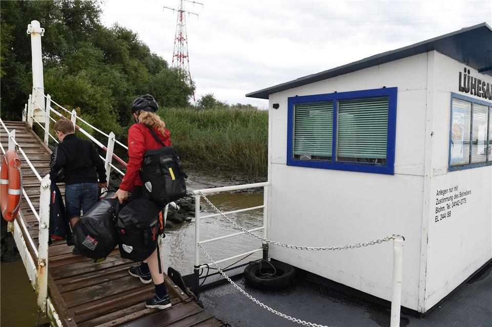 Die Insel Lühesand in der Unterelbe ist per Fährboot und Fahrrad erreichbar. (Archivbild)picture alliance / dpa