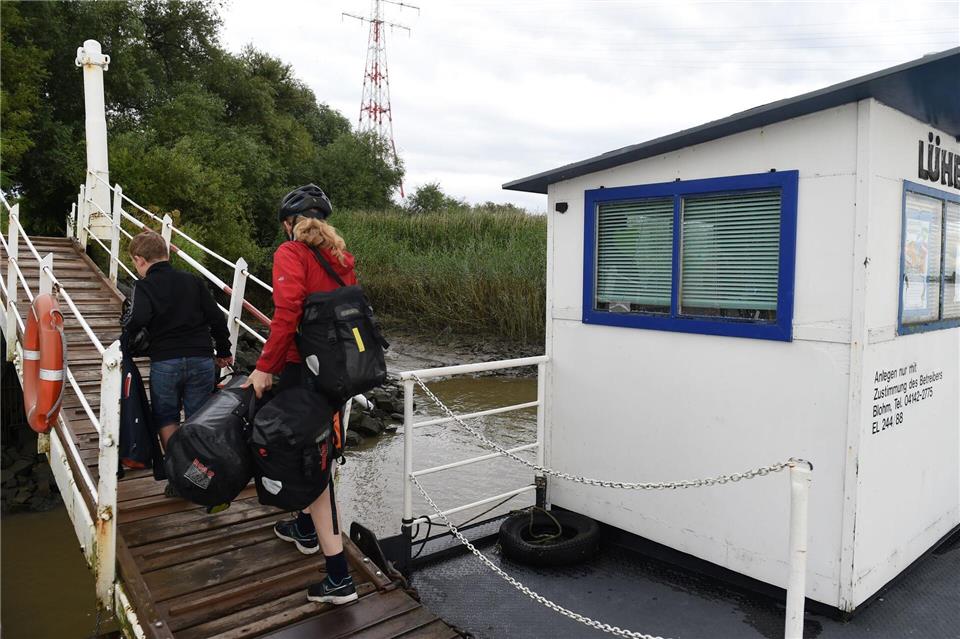 Die Insel Lühesand in der Unterelbe ist per Fährboot und Fahrrad erreichbar.picture alliance / dpa