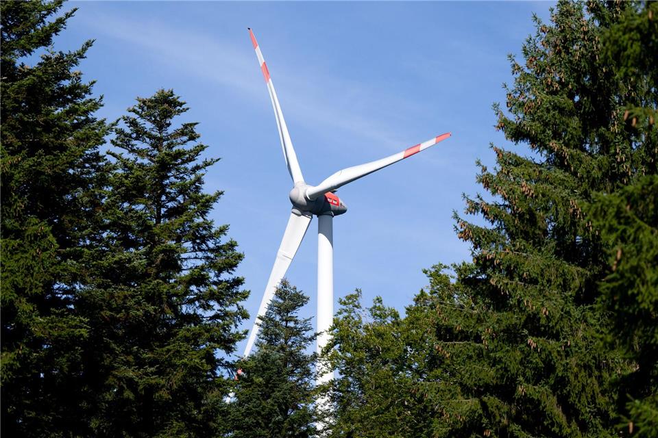 Die Jäger in Thüringen fürchten den Bau von Windrädern im Wald. (Symbolbild)Sven Hoppe/dpa