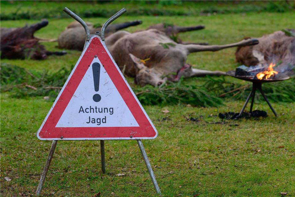 Die Jägerprüfung als Voraussetzung für einen Jagdschein gelingt bei weitem nicht jedem auf Anhieb. (Archivbild) Patrick Pleul/dpa/ZB