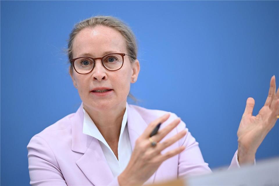 Die Juristin Frauke Brosius-Gersdorf steht nicht mehr für das Amt als Richterin am Bundesverfassungsgericht zur Verfügung. (Archivbild)Britta Pedersen/dpa