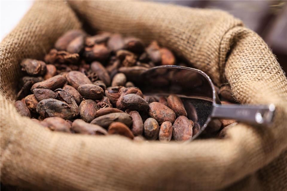 Die Kakaopreise sind zuletzt wieder gesunken. (Symbolbild)Oliver Berg/dpa