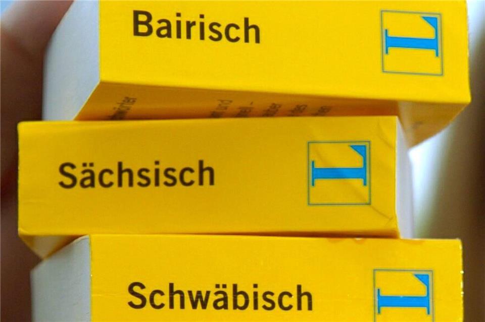 Die Kampagne „So geht sächsisch“ möchte über den sächsischen Dialekt aufklären und dessen Image verbessern. (Archivbild)Peter Kneffel/dpa