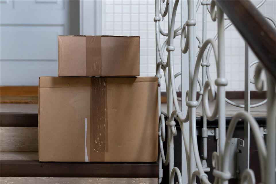 Die Katze hatte sich nach bisherigen Erkenntnissen unbemerkt in den Karton gelegt. (Symbolbild)Sven Hoppe/dpa