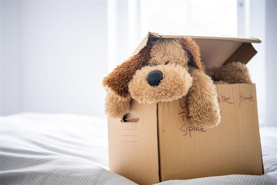 Die Kinder sind längst aus dem Haus, die Kuscheltiere stapeln sich aber noch? Vielen Menschen fällt es schwer, emotional aufgeladene Dinge auszusortieren. picture alliance/dpa/dpa-tmn