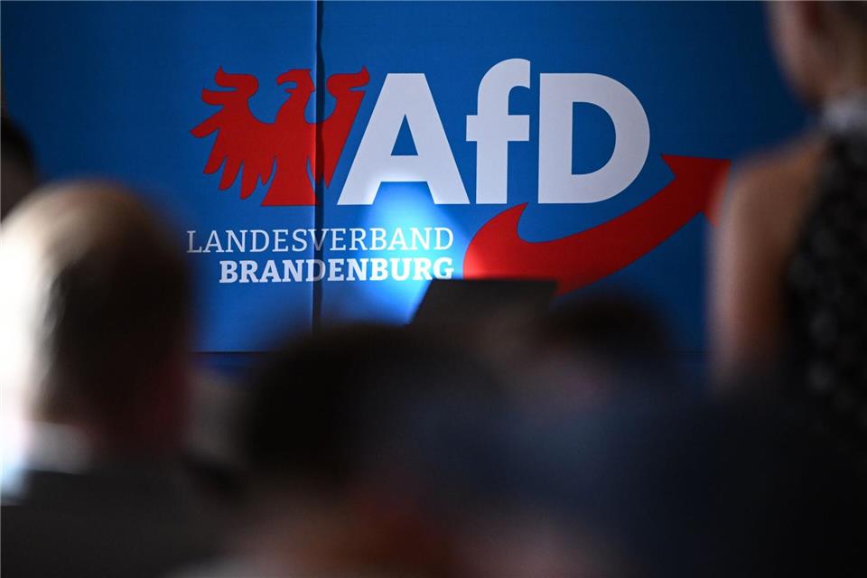Die Klage der AfD gegen die Einstufung als gesichert rechtsextrem bleibt bestehen. (Archivbild)Britta Pedersen/dpa