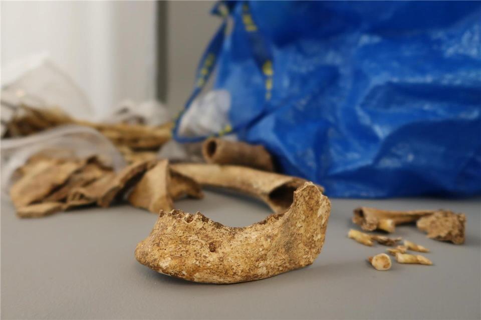 Die Knochen sind die sterblichen Überreste eines Menschen, der offenbar vor rund 1.500 Jahren lebte.Stadt Fulda/dpa