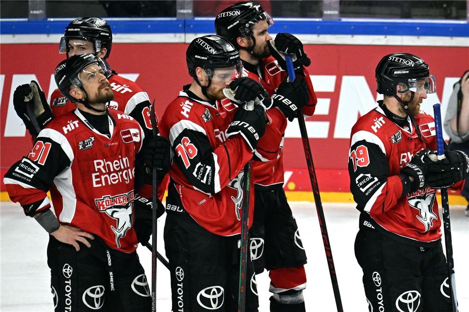 Die Kölner Haie spielen erstmals seit zwölf Jahren in der Eishockey-Champions-League. (Archivbild)Federico Gambarini/dpa