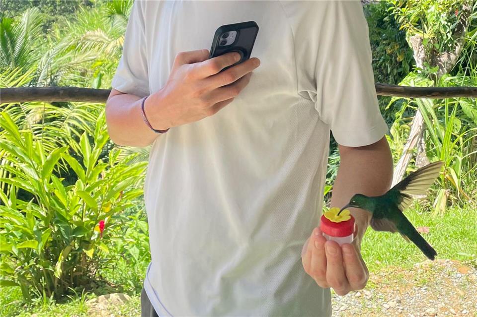 Die Kolibris sind mutig und fressen einem aus der Hand.Manuel Meyer/dpa-tmn