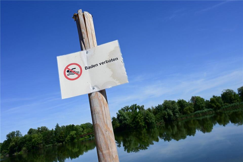 Die Kombination aus sinkendem Wasserstand, intensiver Sonneneinstrahlung und steigenden Wassertemperaturen schafft günstige Bedingungen für die Entwicklung der Bakterien. (Symbolbild)Uwe Zucchi/dpa