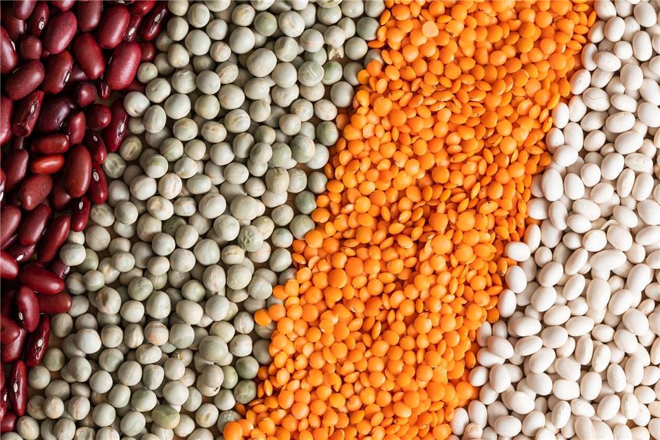 Die Kombination verschiedener pflanzlicher Eiweißquellen sorgt dafür, dass alle essenziellen Aminosäuren aufgenommen werden.Silas Stein/dpa/dpa-tmn