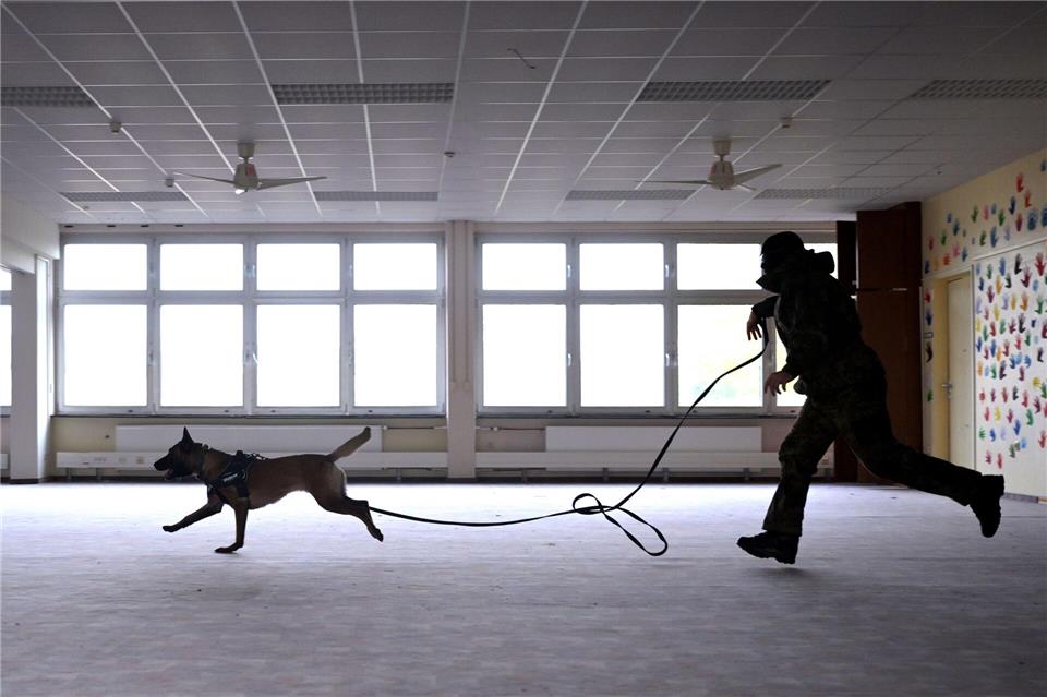 Die Kommandos geben die Hundeführer meist in Ukrainisch.Federico Gambarini/dpa