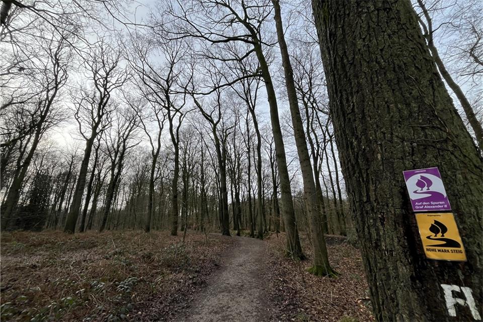 Die Korte-Stiftung möchte den Tiergarten in Zusammenarbeit mit den Behörden aufwerten.
