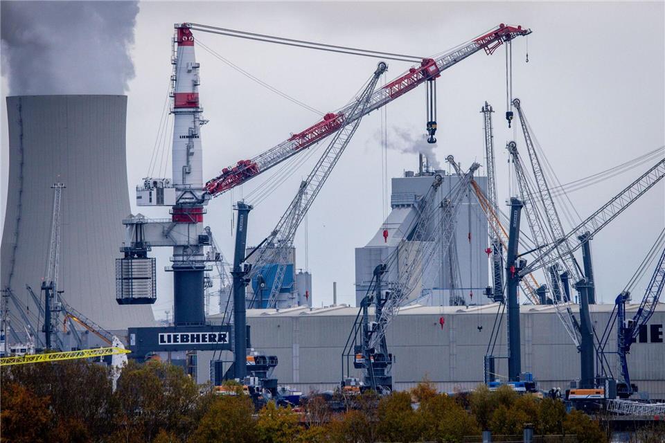Die Kräne, die Liebherr in Rostock baut, gehen in die ganze Welt. (Archivbild)Jens Büttner/dpa