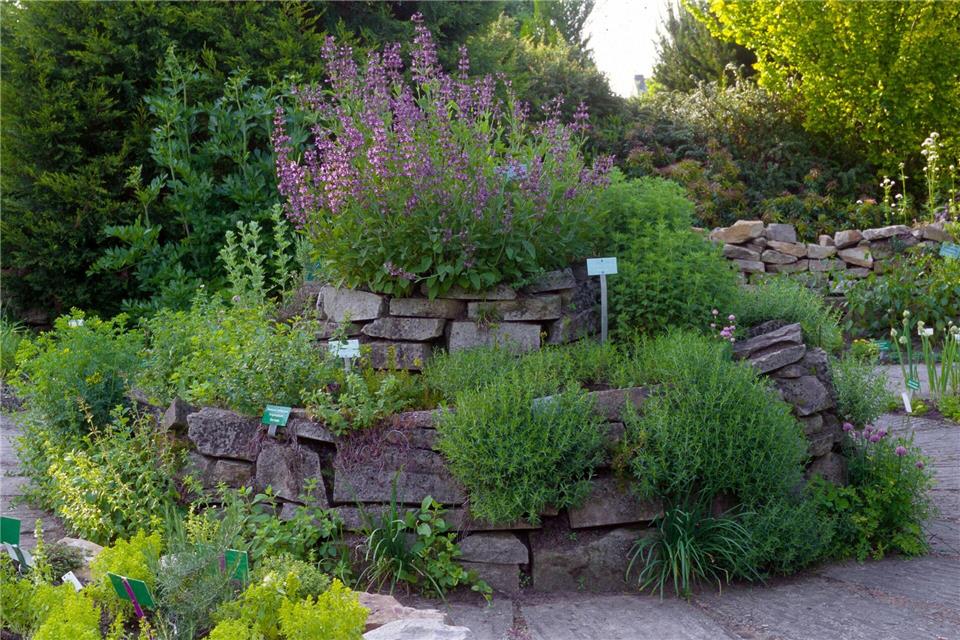 Die Kräuterspirale schafft auf kleinem Raum verschiedene Standorte – ideal für Kräuter mit unterschiedlichen Ansprüchen.Marion Nickig/dpa-tmn