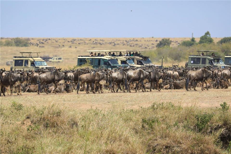 Die Kritik am Verhalten mancher Besucher und die Sorge vor Übertourismus zum Schaden des Ökosystems nehmen zu. Han Xu/XinHua/dpa