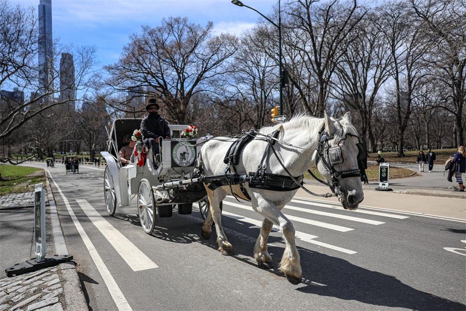 Die Kutschen rollen seit rund 150 Jahren durch den Central Park. (Archivbild)Bianca Otero/ZUMA Press Wire/dpa