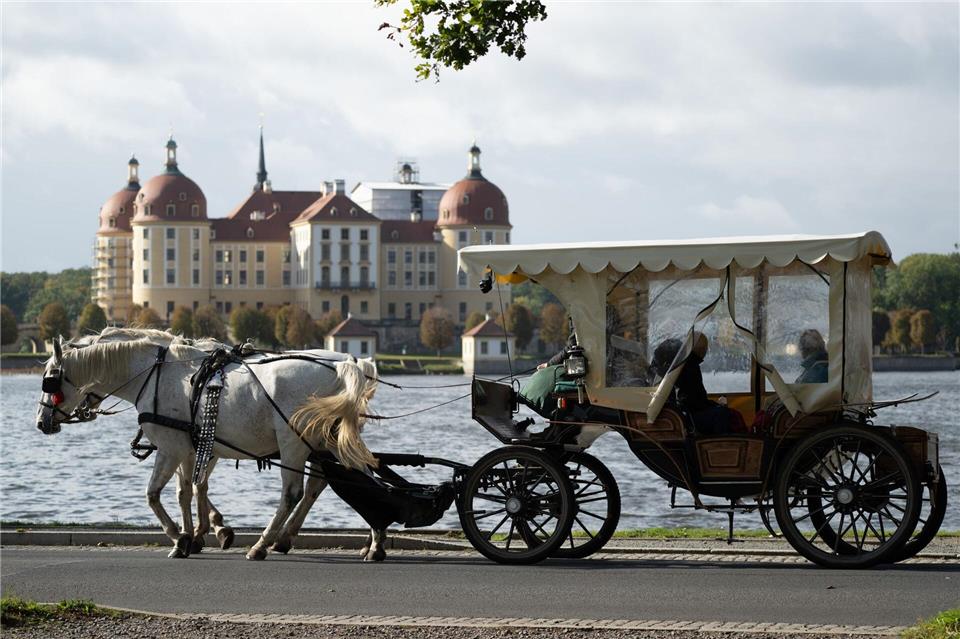 Die Kutschfahrt endete am Dienstagnachmittag abrupt nach dem Unfall. (Symbolbild)Sebastian Kahnert/dpa