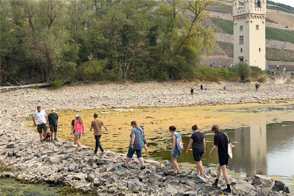 Die Lage am Rhein zieht Niedrigwassertouristen an. Jens Albes/dpa