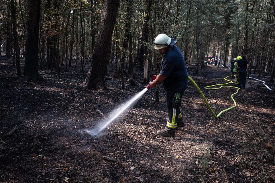 Die Lage im Hürtgenwald hat sich nach Angaben des Kreises Düren weiter entspannt. (Archivbild)Christian Knieps/dpa
